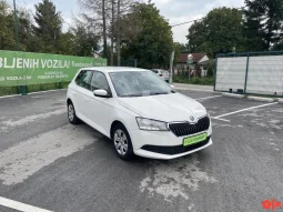 
										Škoda Fabia 1.0 2021 full									
